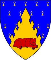 Arms Image